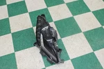 14-19 C7 Corvette Xenon Hid Passenger Headlight Headlamp Oem Factory. Fixed Price $750.99.