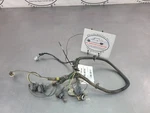 2002 Firebird Tail Light Lamp Wiring Harness Assembly - Oem. Fixed Price $89.95.