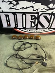 99-07 Ford F250 F350 Super Duty Oem Cab Light Wiring Harness F81B-15A404-P260G. Fixed Price $111.99.