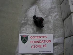 Jaguar Bulb C2Z7941. Fixed Price $25.00.