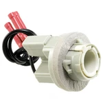 Tail Light Socket Wve 6S1042. Fixed Price $35.99.