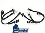 LS1 LS6 Ignition Coil Harnesses Stock Location D580 12558948 Camaro Corvette Gto. Fixed Price $39.99.