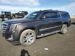Gry W/cam W/spoiler Tailgate Oem 2015 Cadillac Escalaesv. Fixed Price $250.00.
