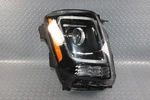20-22 Telluride *dmg* Halogen Right Rh Lamp Lens Factory Oe. Fixed Price $370.99.