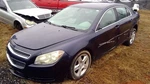 High Mounted Stop Light 3RD Brake Sedan Fits 08-12 Ford Focus Oem. Fixed Price $74.39.