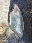 2008 Acura Rdx Driver Left Headlight Fits 07-09 1236300. Fixed Price $195.00.