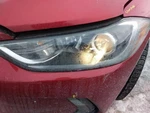 Driver Headlight Sedan Halogen Fits 17-18 Elantra 3144917. Fixed Price $219.89.