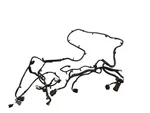 Pacifica 2017 Lamp Wiring Harness 651362. Fixed Price $219.00.