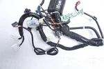 Honda Odyssey 2018-2019 Ex Driver Headlight Harness Wiring Room 32120-THR-A10. Fixed Price $127.73.