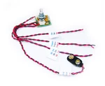 2.5W Artec Amplifier Circuit Board With Pre-wired Leads Powered By 9V Battery. Fixed Price $24.49.