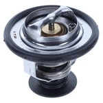 Ford Explorer 2020-2026 Motorad 1270-198 Engine Coolant Thermostat. Fixed Price $52.11.