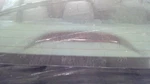 Elantra 2022 High Mounted Stop Light 5651731. Fixed Price $100.00.