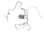Tacoma 1996 Lamp Wiring Harness 639456. Fixed Price $314.00.