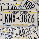 New York Excelsior License Plate Free 1 Random Ny Tag Read Description. Fixed Price $27.99.
