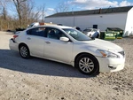 Passenger Corner/park Light Fog-driving Bumper Mounted Fits 04-19 Sentra 2746107. Fixed Price $97.00.