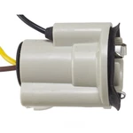 Parking Light Bulb Socket Wve 6S1009. Fixed Price $33.99.