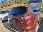 2018 Ford Escape Right Passenger Tail Light Oem Used 166-10045AR 4039643. Fixed Price $100.70.