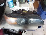 Passenger Headlight With Xenon Hid Fits 04-06 Bmw X5 1021227. Fixed Price $169.99.
