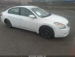 Passenger Right Headlight Sedan Halogen Fits 07-09 Altima 2170620. Fixed Price $82.00.