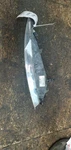 Driver Corner/park Light Lamp-turn Signal Fits 07-09 Audi Q7 1056298. Fixed Price $54.90.