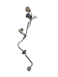 56042348 Tail Light Wire Harness For Jeep Grand Cherokee Zj (97-98). Fixed Price $29.99.