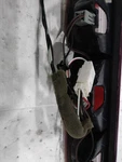 2013 Ram Dodge 1500 Pickup Center High Mount Stop Light Grey Used 3776794. Fixed Price $71.99.