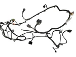 Acadia 2008 Lamp Wiring Harness 648514. Fixed Price $329.00.