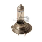 One New Flosser Multi Purpose Light Bulb Front 2070180 For Mercedes & More. Fixed Price $44.25.