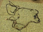 Chevrolet Express 3500 6.6L Diesel 4X2 Used Frame Chassis Body Wire Harness. Fixed Price $293.69.