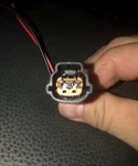 Auto Headlight Ballast Connector Pigtail For Hyundai Elantra IX35. Fixed Price $12.00.