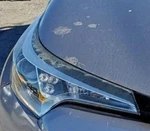 2018-2019 Toyota C-hr Passenger Headlight Lamp Oem. Fixed Price $337.08.