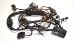 Front Left Driver Side Xenon Headlight Loom Wiring Harness Plug Oem Bmw F32 F33. Fixed Price $145.00.