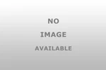 Dorman Tail Lamp Lh - Part Number 1610054 For Enhanced Safety. Fixed Price $53.99.