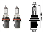 Two Flosser 9107 Premium 100/80 Watt Halogen Head Light Bulbs - Made In Europe. Fixed Price $20.28.