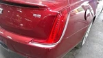Passenger Right Tail Light Fits 18 Xts 2559925. Fixed Price $320.00.