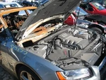 Driver Tail Light Incandescent Bulb Opt 8SA Fits 08-16 Audi A5 497013. Fixed Price $130.00.