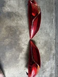 2017-2018 Hyundai Elantra Sport Left And Right Led Taillight 92402-F24 Oem. Fixed Price $99.99.