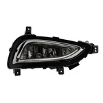 New Hyundai Passenger Side Fog Light Assembly 922023V010 Oem. Fixed Price $141.25.