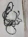 Pacifica 2017 Lamp Wiring Harness 605033. Fixed Price $244.00.