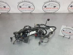 2006 C6 Corvette Headlight / Front Body Wiring Harness Assembly - Oem. Fixed Price $199.95.