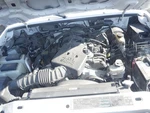 Ranger 2005 High Mounted Stop Light 28047716. Fixed Price $104.55.